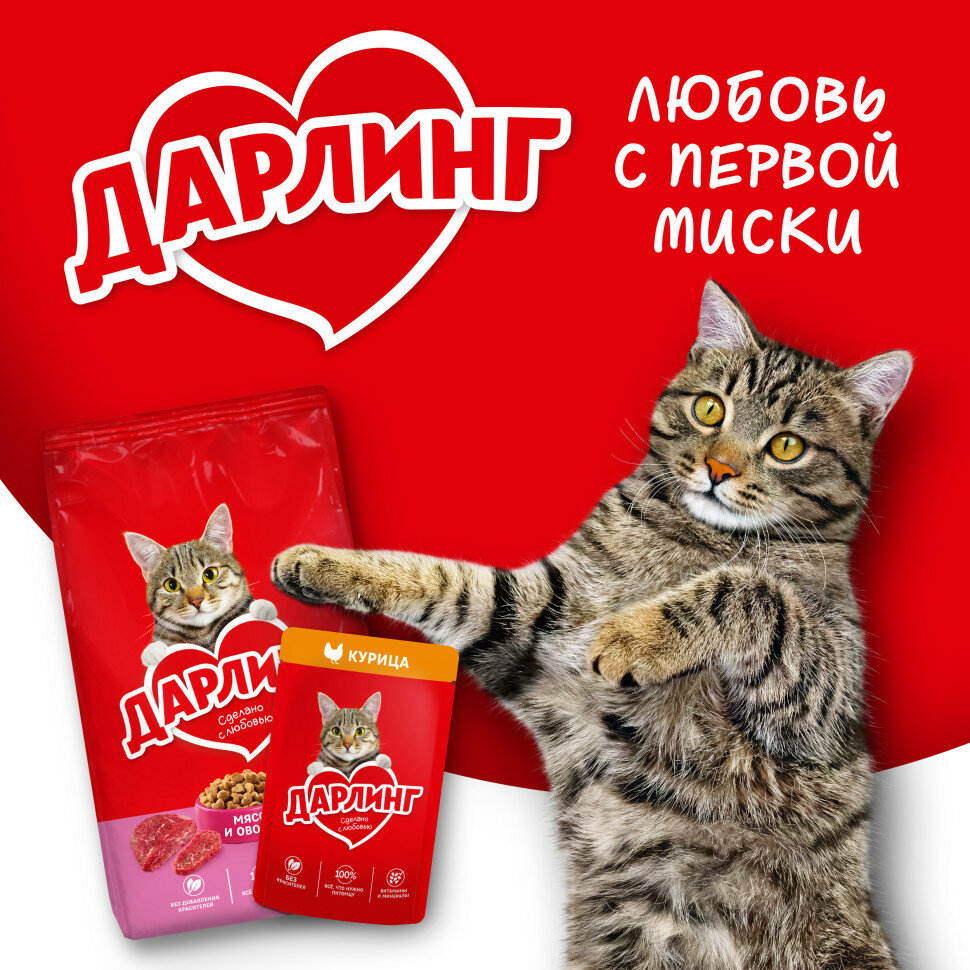 Дарлинг влажный корм для взрослых кошек с говядиной в подливе, в паучах - 75 г х 26 шт — фото 1
