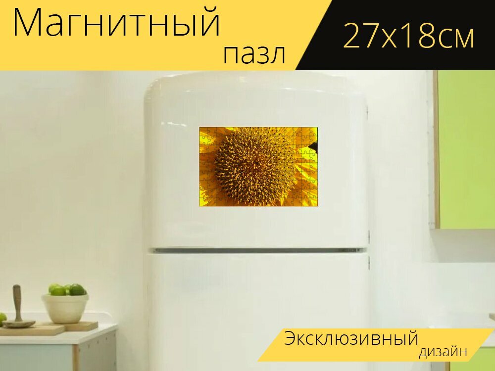 Магнитный пазл "Соцветие, цветочная корзина, лучевые соцветия" на холодильник 27 x 18 см.