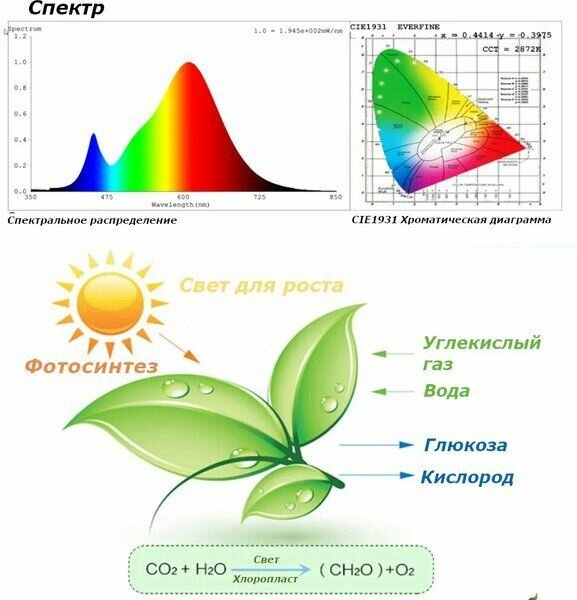 Фитосветильник "Plant Grow Light" 96 LED 100Вт - фотография № 10