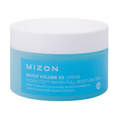 Mizon~Увлажняющий крем со снежными водорослями~Water Volume EX Cream