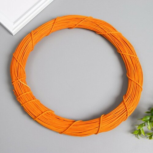 Кольцо ротанг для изготовления ловца снов Оранжевый d25 см 859₽