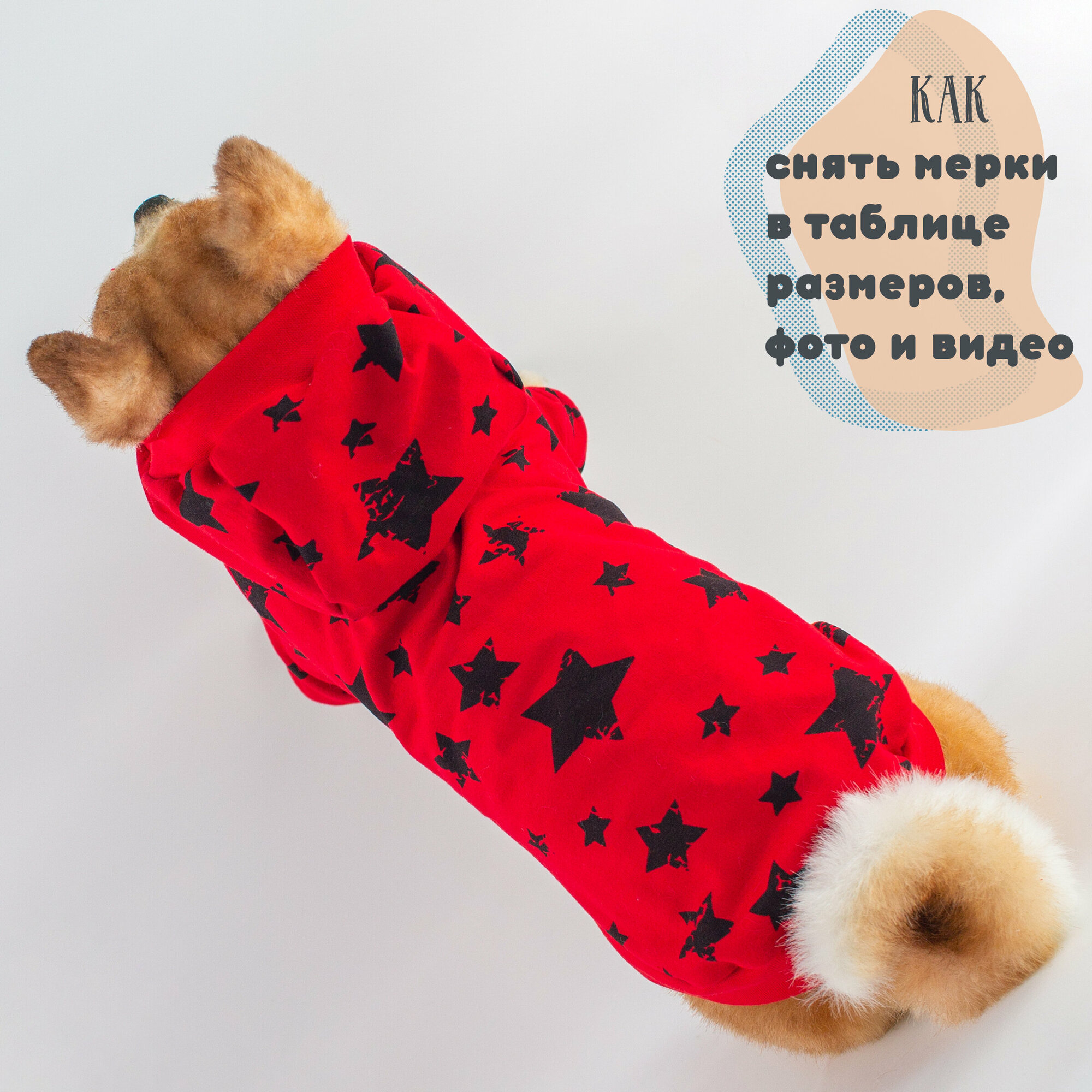 Одежда для собак Элегантный Кот, кофта Яркие Звёзды, размер M - фотография № 5
