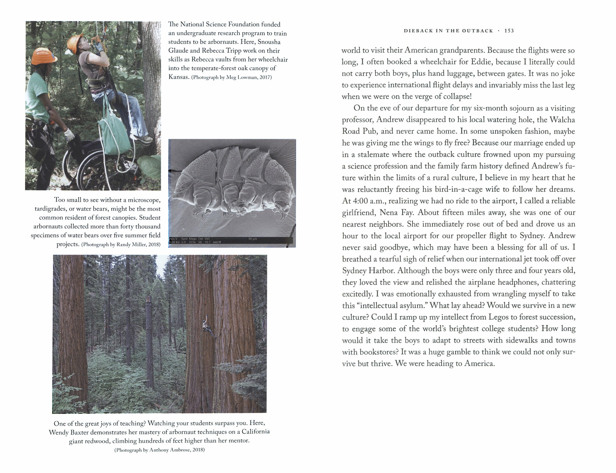 The Arbornaut. A Life Discovering the Eighth Continent in the Trees Above Us - фото №2