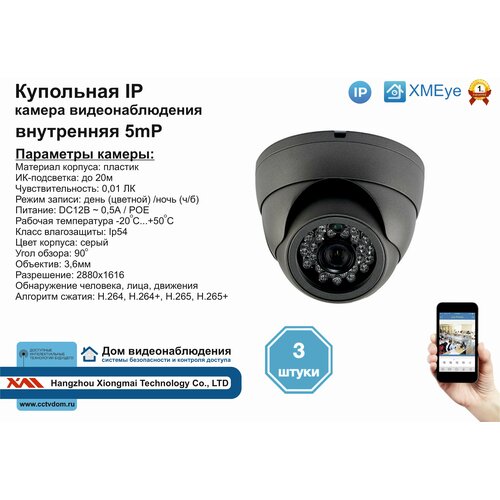 3шт DVS300IP5MPPOE Внутренняя IP камера 5мП с ИК до 20м 1050000₽