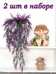 Папоротник настенный ампельный свисающий растение на стену лиана плющ для декора интерьера цветок декоративная зелень