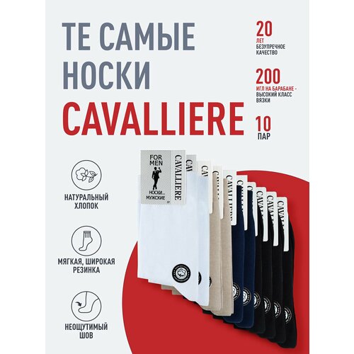 фото Носки rusocks базовая коллекция, комплект, 10 пар, размер 25, микс 3