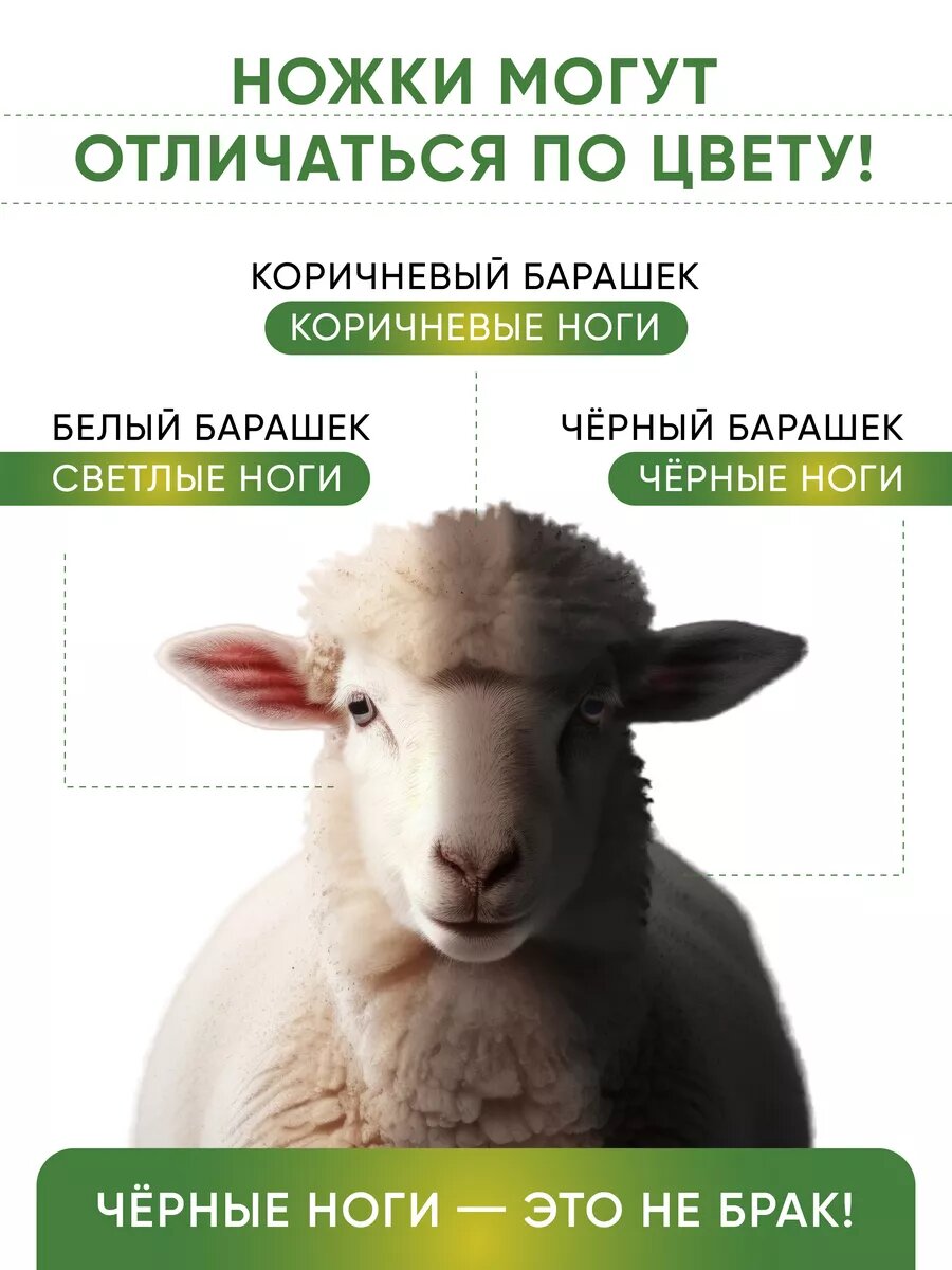 Баранья ножка 2 шт, сушеные лакомства для собак, косточки для щенков, копыто баранье для собак