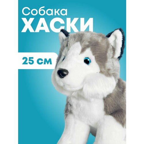 фото Мягкая игрушка maxitoys реалистичная собака ml-so-130222-25-13