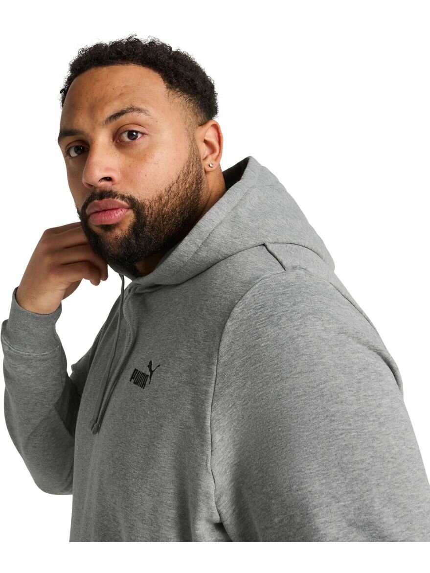Худи PUMA Essentials Small No. 1 Logo Hoodie Men, размер L, , серый — фото 1
