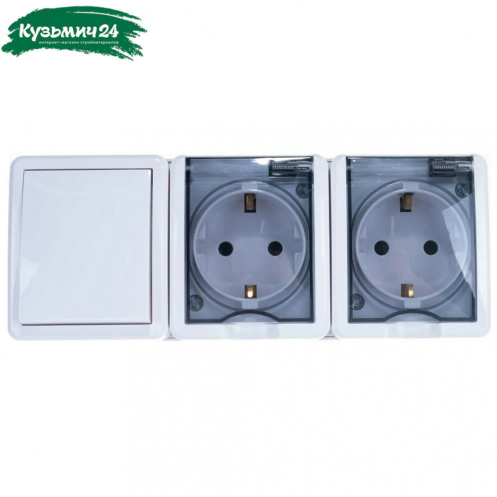 Блок 2 розетки и выключатель Эра Эксперт 11-7403-01, Б0027673, IP54, 16A, 3 поста, белый, накладной, с крышкой