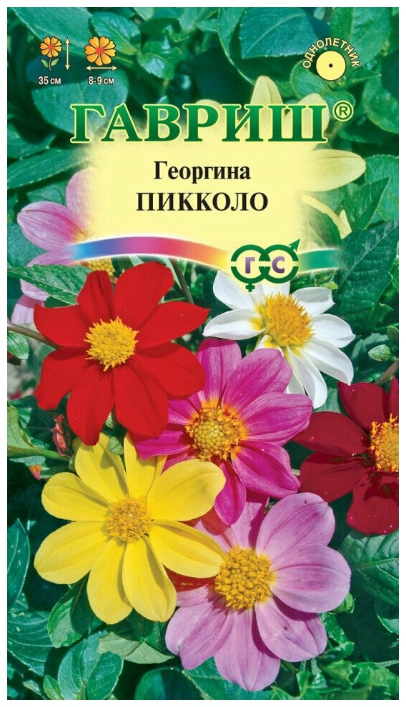 Семена Георгина Пикколо смесь 03г Гавриш Цветочная коллекция 10 упаковок