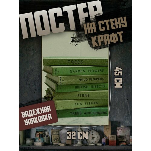 Постер 32х45 Эстетика книг