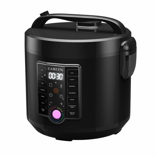 Мультиварка Garlyn MR-Solo 11 1975000₽