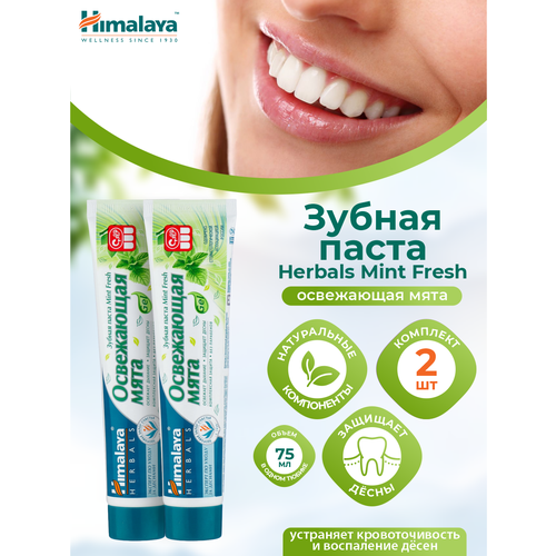 Зубная паста Himalaya Herbals Mint Fresh Свежая мята 75 мл. х 2 шт. зубная паста nordics morning fresh coconut mint 75 мл