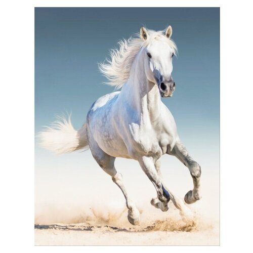 Купить Алмазная вышивка Белая лошадь, Цветной