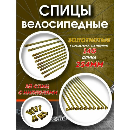 Спицы 254 мм x 14G с ниппелями стальные золотистые