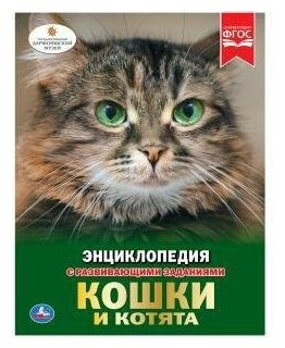 Кошки и котята. Энциклопедия