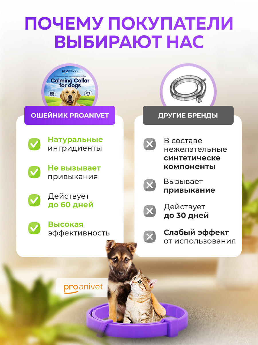 Успокаивающий ошейник для собак с феромонами ProAnivet Calming Collar, фиолетовый, 62 см