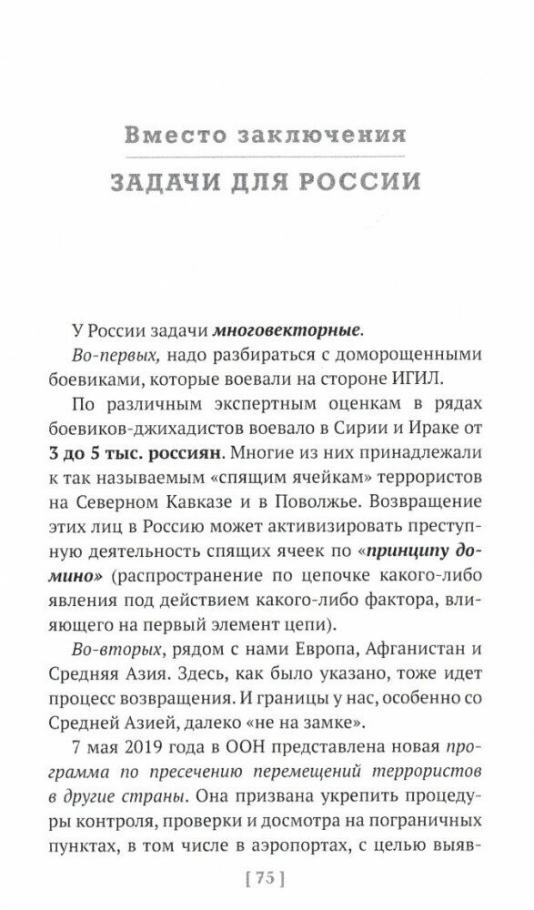 Иностранные боевики-террористы. Иногда они возвращаются - фото №8