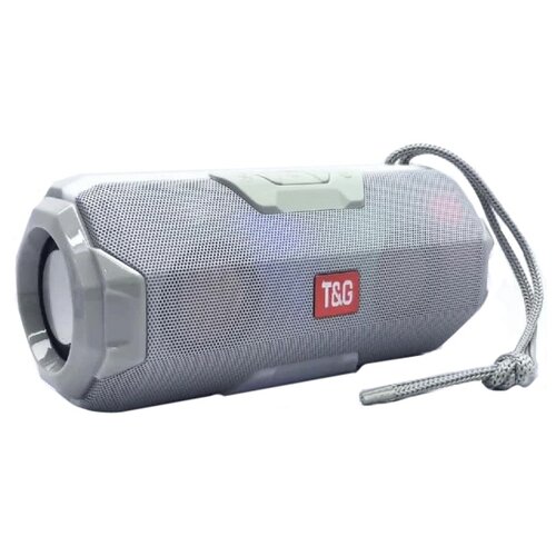 Портативная акустика TG TG143 10 Вт серый 119600₽