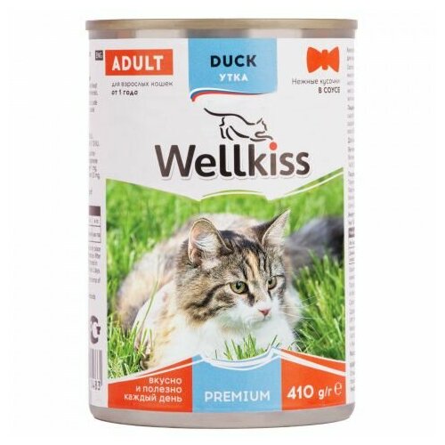 Wellkiss Влажный корм консервы для кошек, нежные кусочки с уткой в соусе, 410 гр, 4 шт whiskas аппетитный микс полнорационный влажный корм для кошек с уткой и печенью кусочки в мясном соусе в паучах 75 г