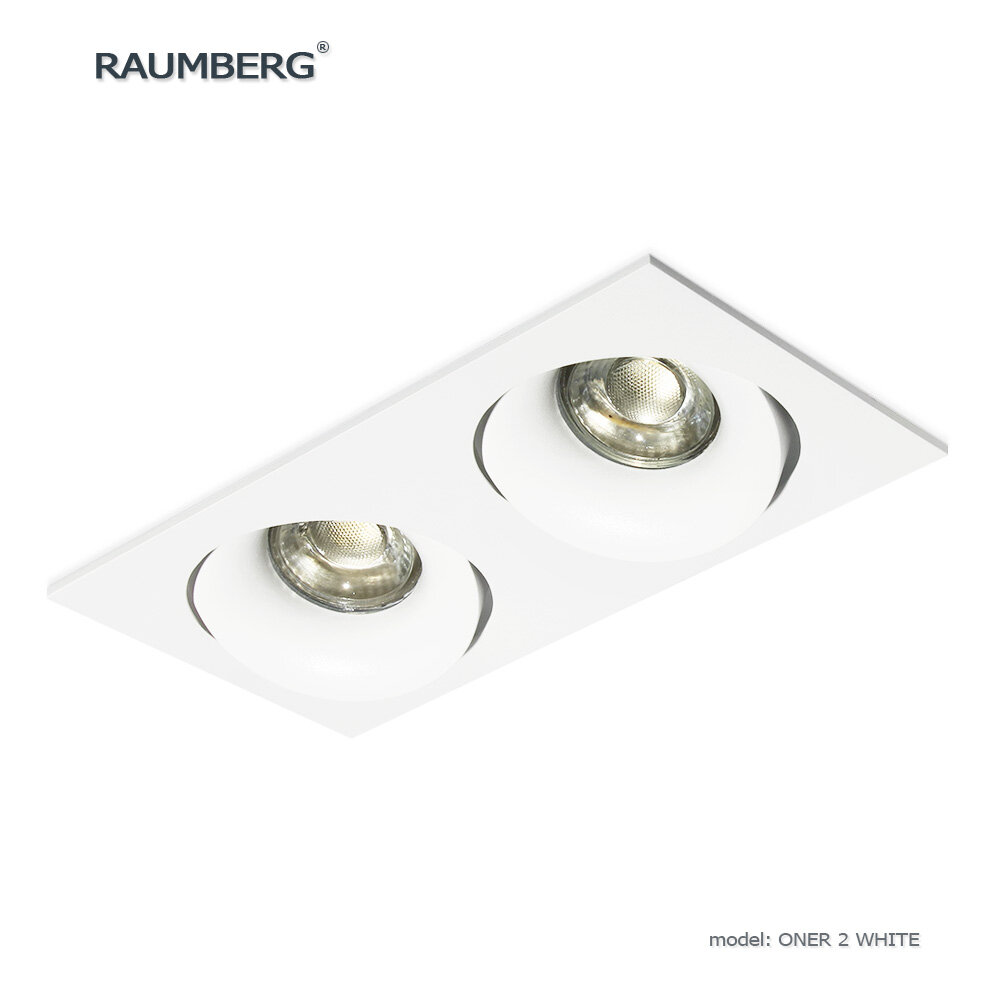 Встраиваемый поворотный светильник RAUMBERG ONER 2 (DE 202) wh белый под светодиодные лампы GU10