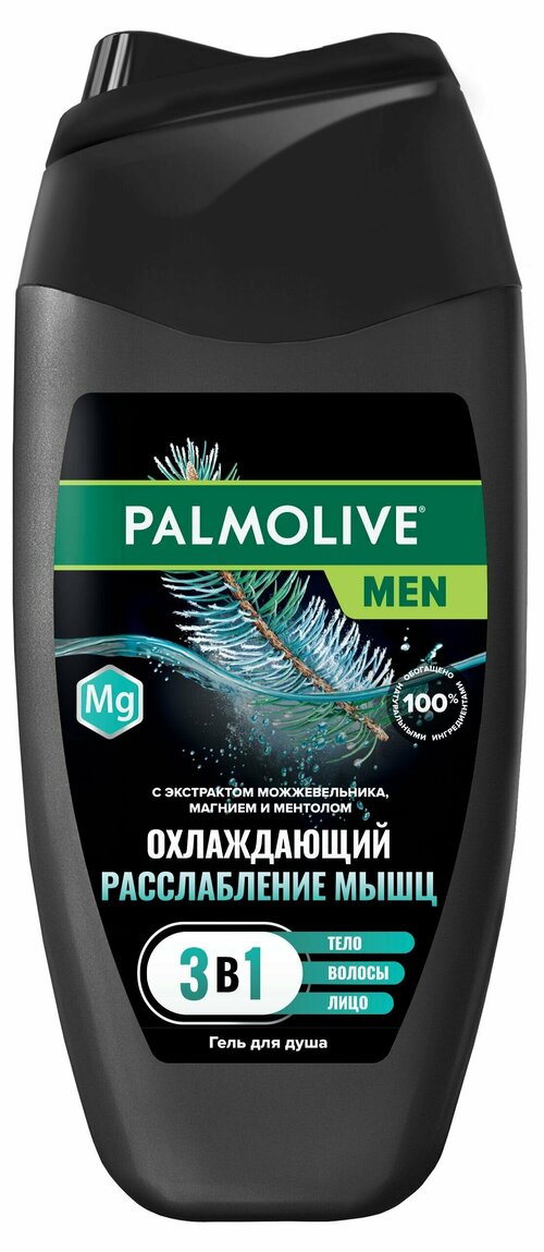 Гель для душа Palmolive Men Охлаждающий Расслабление Мышц 3 в 1 для тела волос лица и бороды, 250 мл, 2 шт