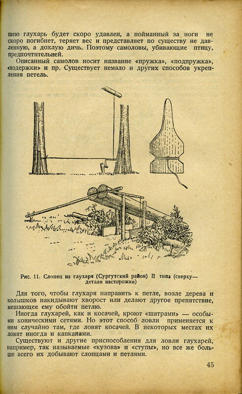 Каверзнев В. Н. "Охота на пернатую дичь"