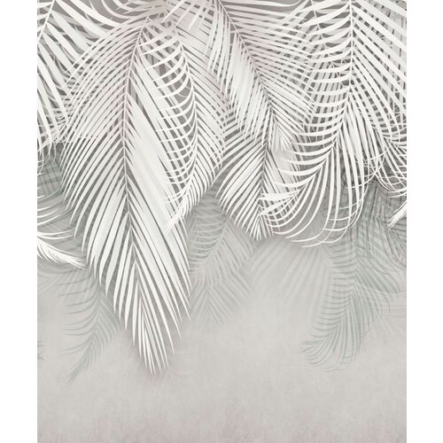 Моющиеся виниловые фотообои Пальмовые ветви 2 фон, 250х300 см моющиеся виниловые фотообои пальмовые ветви 2 фон 350х250 см