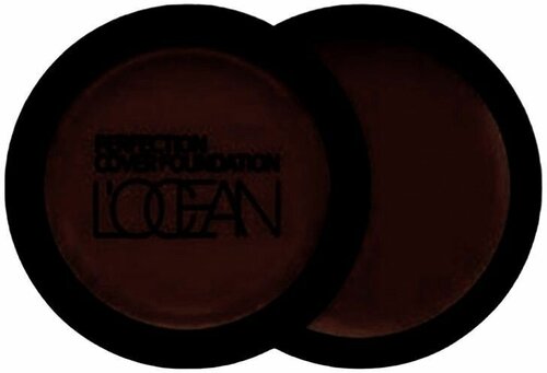 L’ocean Консилер / Perfection Cover Foundation #43 Mud brown, 16 г