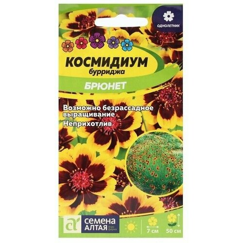 Семена цветов Космидиум Брюнет цп, 0,01 г 20 упаковок
