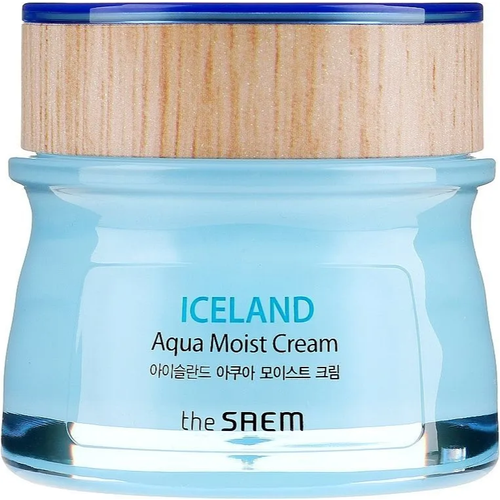 The Saem Крем для лица увлажняющий Iceland Aqua Moist Cream, 60 мл