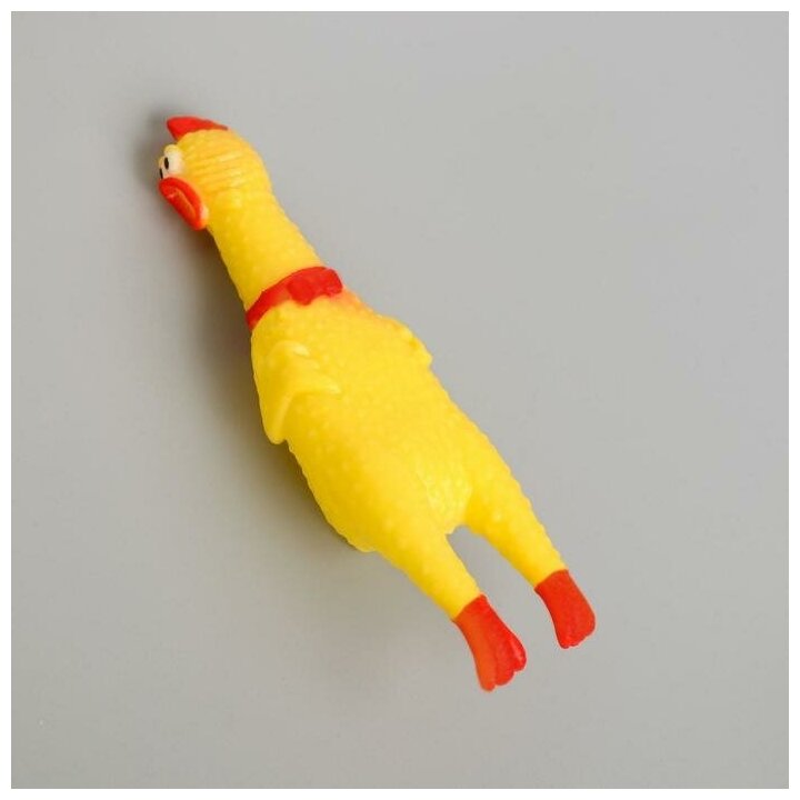 Игрушка пищалка «Курица», 16 см, дворняга - фотография № 4