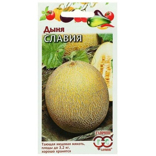 Семена Дыня Славия, 1 г 9 упаковок йогурт питьевой чудо персик манго дыня 1 9% 260 г