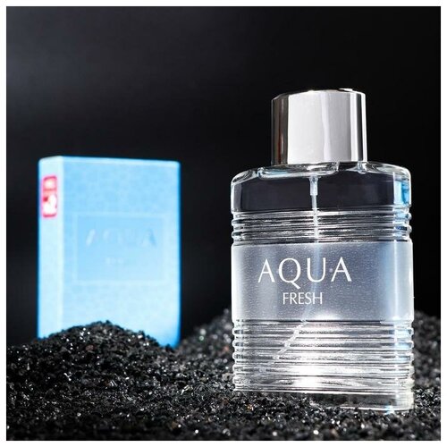 Туалетная вода мужская Aqua Fresh, 100 мл