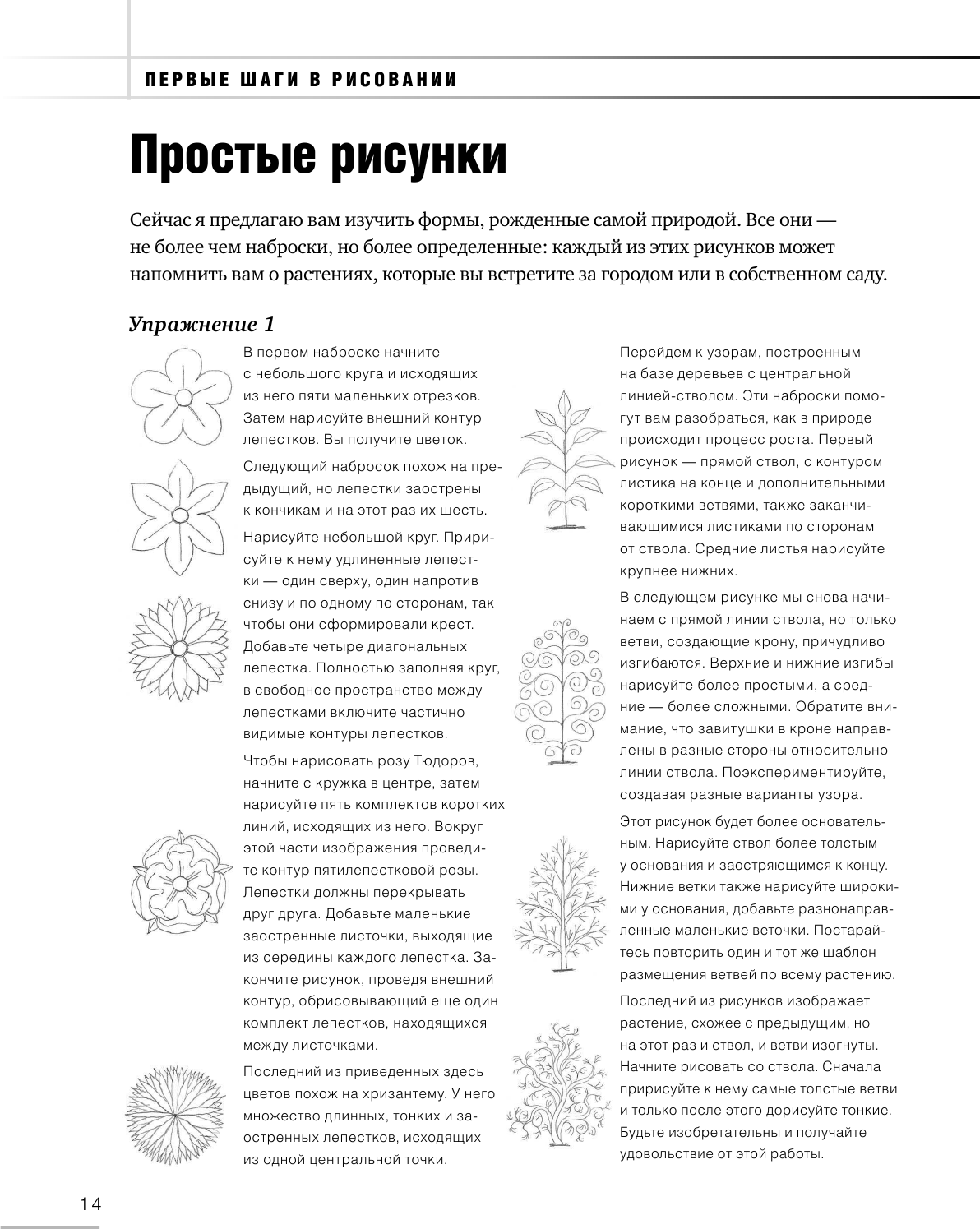 Учимся рисовать за 6 недель. Материалы, техники, идеи (новое оформление) - фото №16