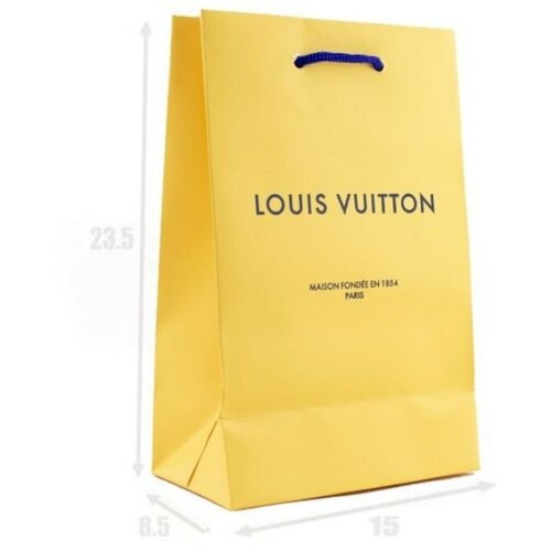 Louis Vuitton15x23.5x8.5