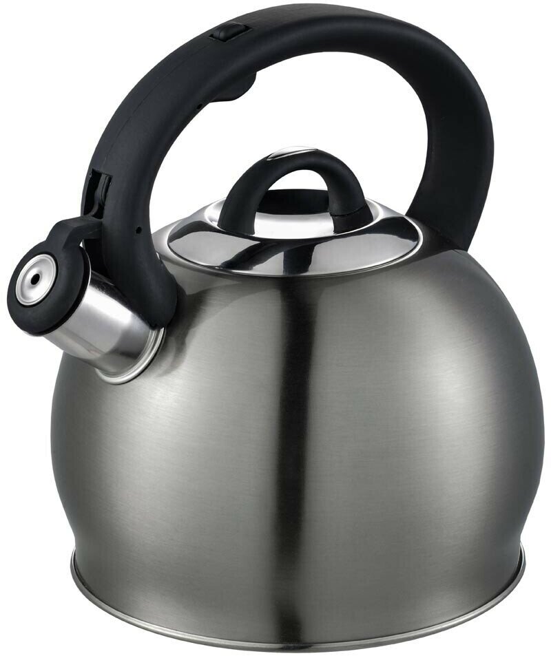 фото Чайник для плиты Hitt H-KT100