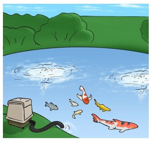 Компрессор для пруда и водоема Pondtech AC0 016, 450 л/мин, 500 м3, поршневой — фото 1