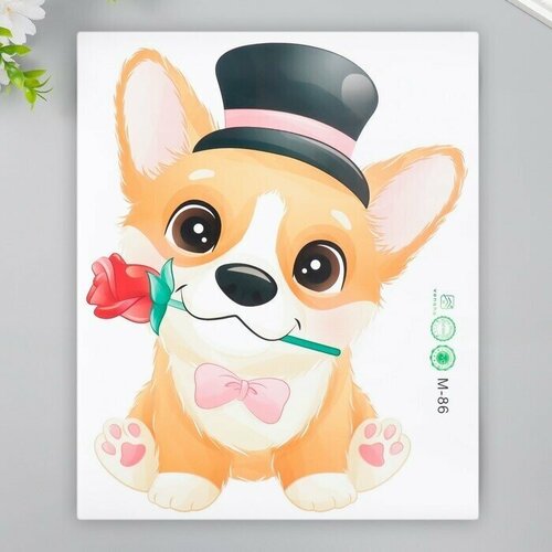 Наклейка пластик интерьерная цветная Пёсик в цилиндре с розой 24х29 см 448₽