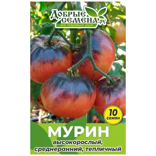 Семена томата Мурин - 10 шт - Добрые Семена. ру