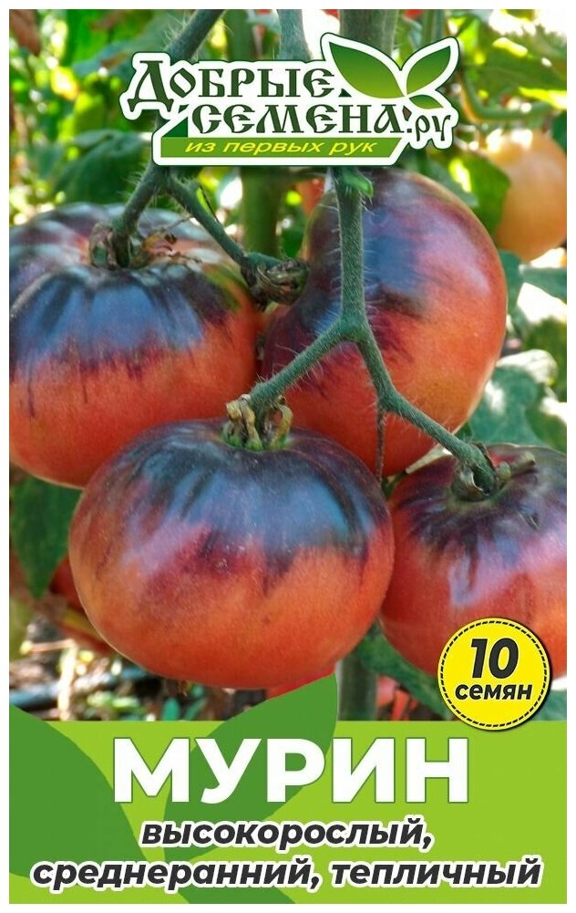 Семена томата Мурин - 10 шт - Добрые Семена. ру