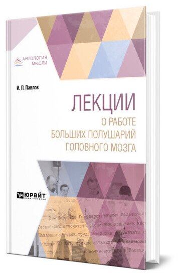 Лекции о работе больших полушарий головного мозга - фото №1