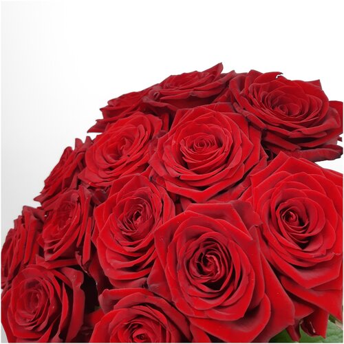 Роза красная 13 штук 70 см