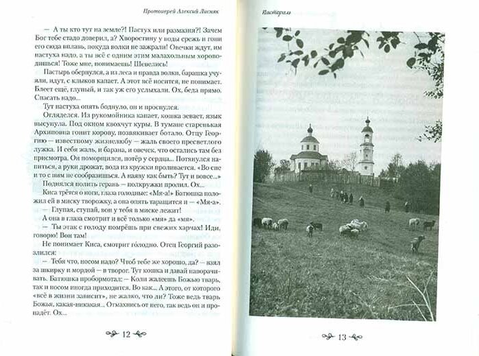 Земляничные луга (Протоиерей Алексий Лисняк) - фото №11