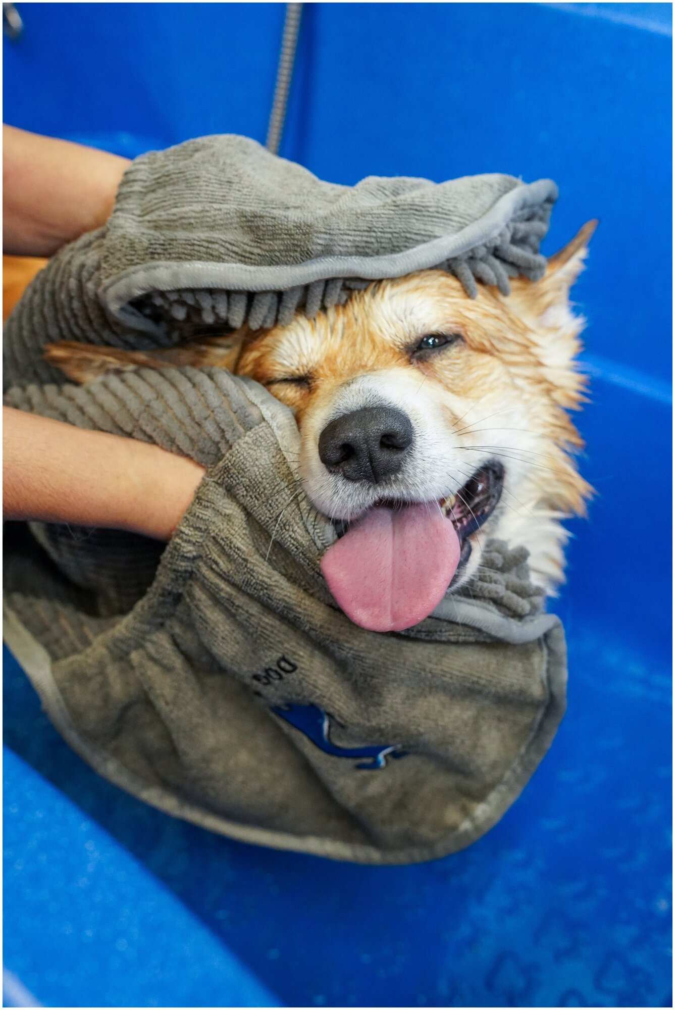 DOG TALES / полотенце для собак и кошек, животных - фотография № 7