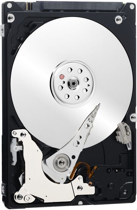 Жесткий диск WD Black , 500ГБ, HDD, SATA III, 2.5" - фото №12