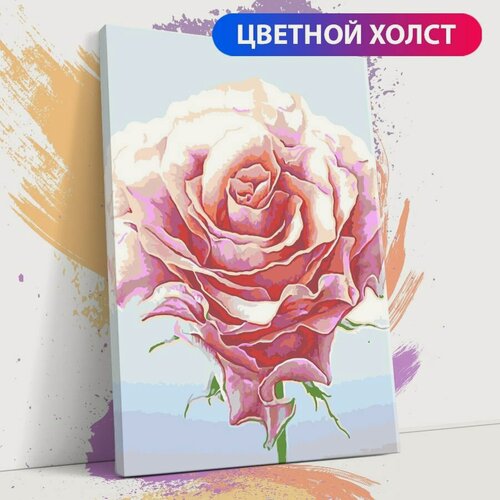 Изображение товара Картина по номерам на холсте с подрамником, "Цветы. Роза", 30х40 см