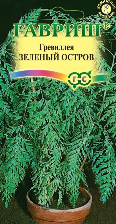 Семена гревиллеи  Зеленый остров  0 2 гр   многолетние  вечнозеленые  В комнатных условиях вырастает высотой до 2 метров 