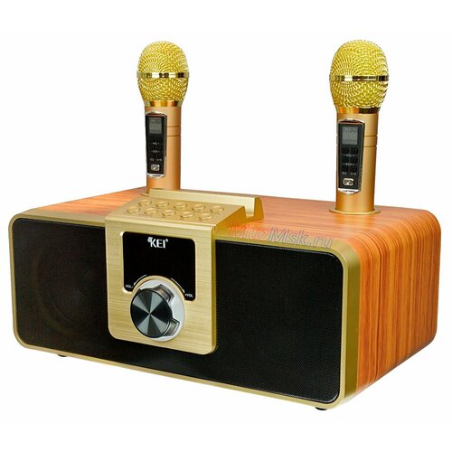 KEI K-08 Gold домашняя караоке система с двумя микрофонами изменение голоса Bluetooth 10990₽